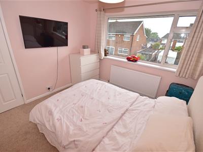 Picture 15